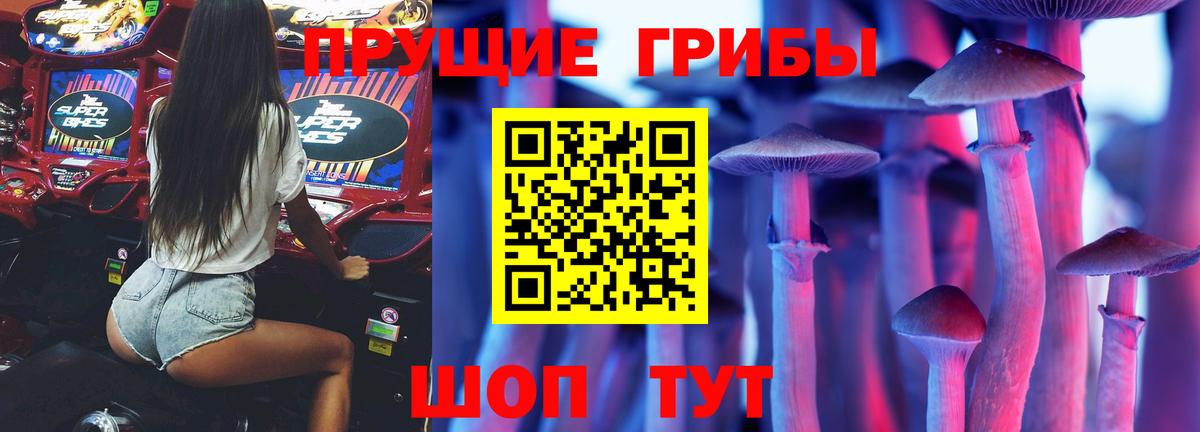 Галлюциногенные грибы ЛСД  Вход с VPN  Галлюциногенные грибы Psilocybine cubensis  Луховицы 